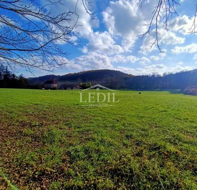 Terrain - 4 911 m²