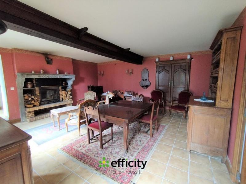 Maison en pierre - 290 m² - 10 pièces