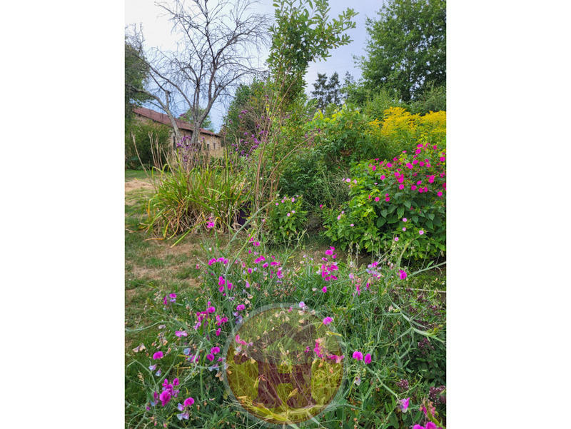 Maison - 86 m² - 4 pièces