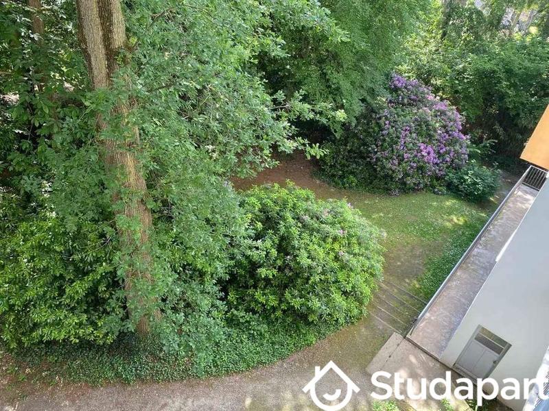 Chambre - 14 m² - 1 pièce