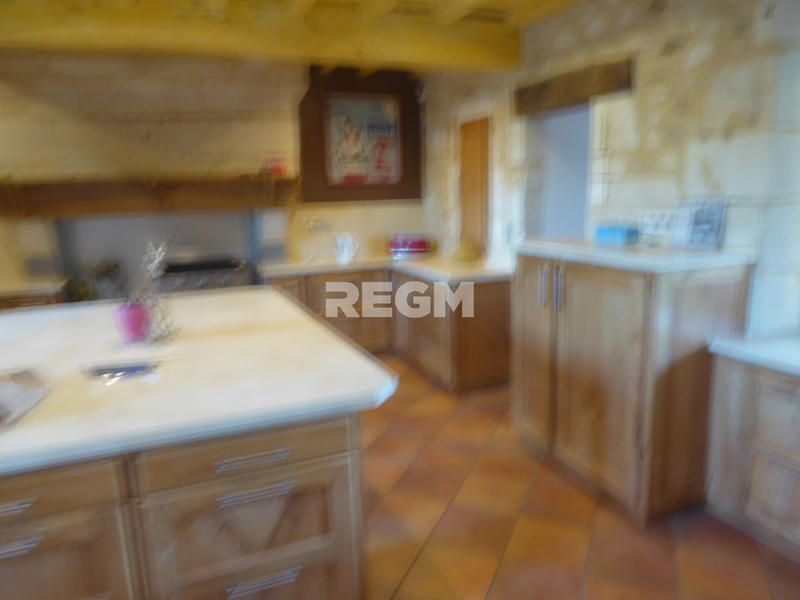 Maison - 350 m² - 10 pièces