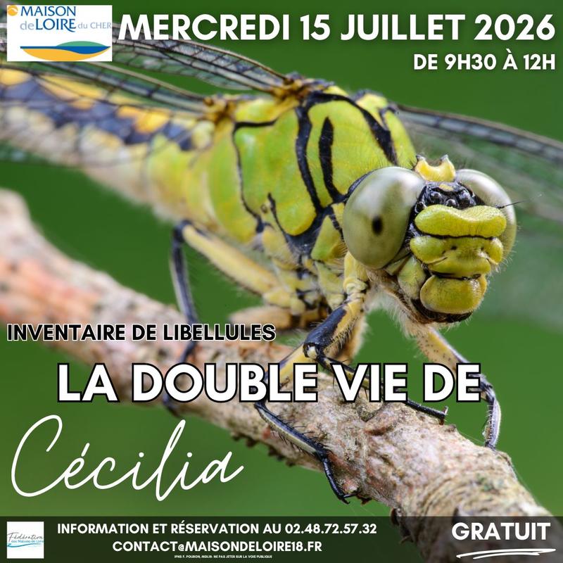 La double vie de Cécilia : découverte et inventaire des libellules