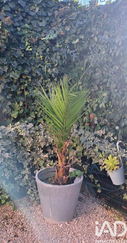 Appartement - 49 m² - 2 pièces