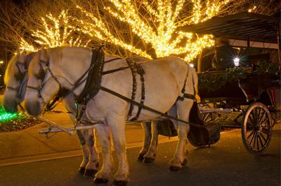 Visite de Masevaux-Niederbruck en calèche