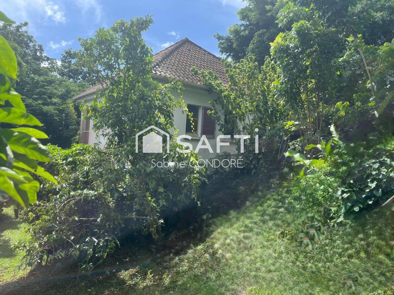 Villa - 350 m² - 12 pièces