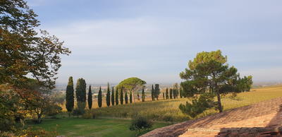 Journées du Patrimoine - Domaine de Malagar