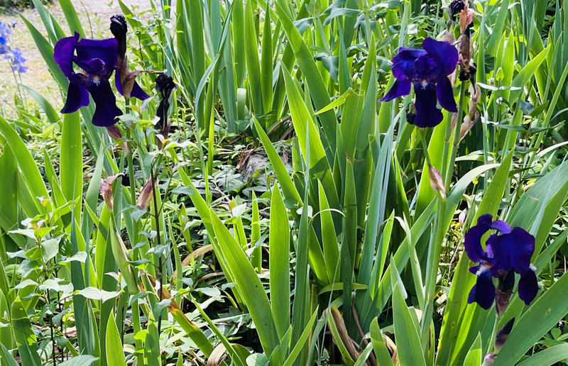 Maison - 85 m² - 5 pièces