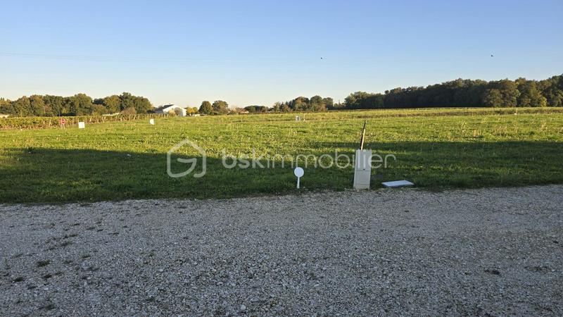 Terrain - 1 554 m²