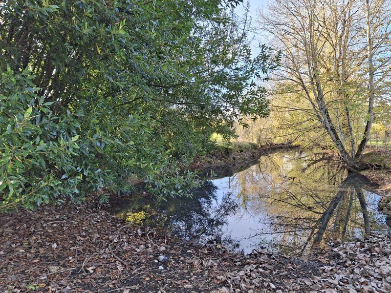 Maison ancienne - 102 m² - 4 pièces