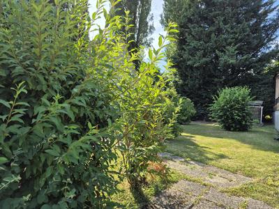 Maison - 94 m² - 5 pièces