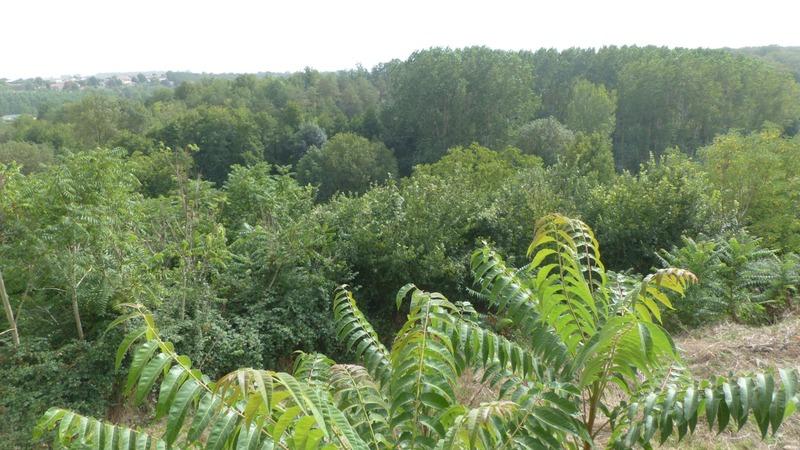 Maison de campagne - 122 m² - 4 pièces