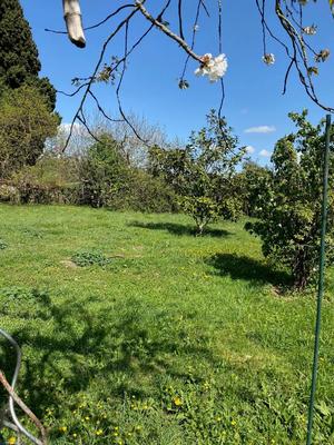 Terrain constructible - 800 m²