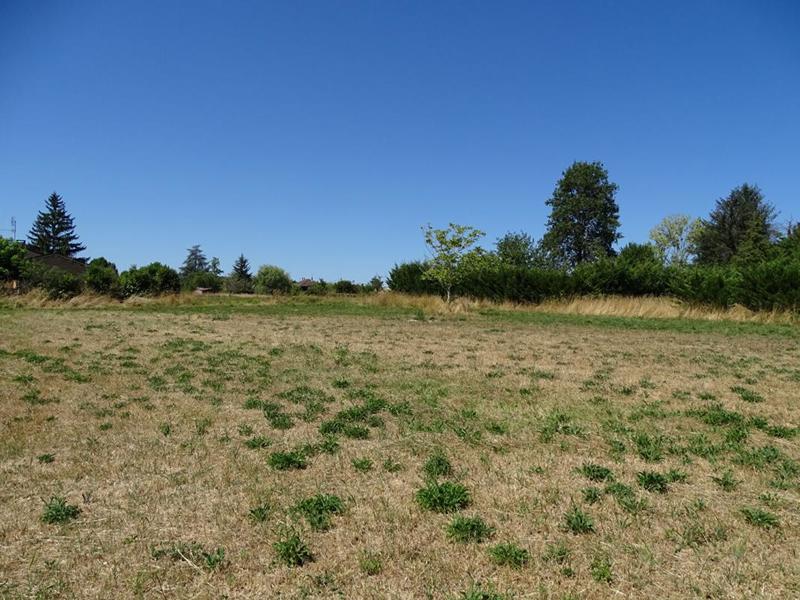 Terrain constructible - 1 999 m²