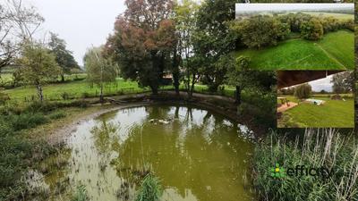 Maison - 200 m² - 9 pièces