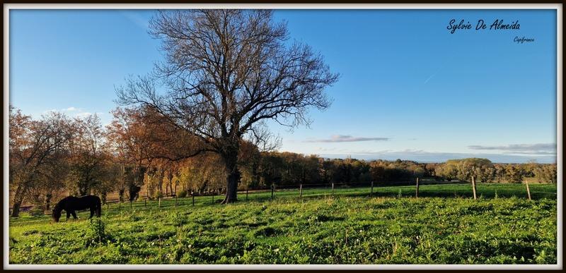 Ferme - 145 m² - 6 pièces