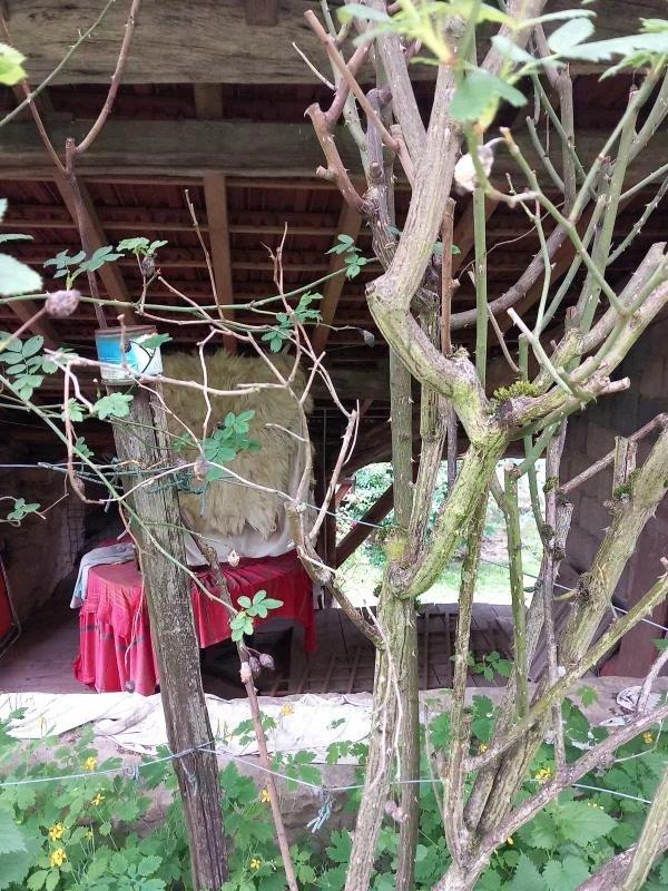 Propriété - 132 m² - 4 pièces