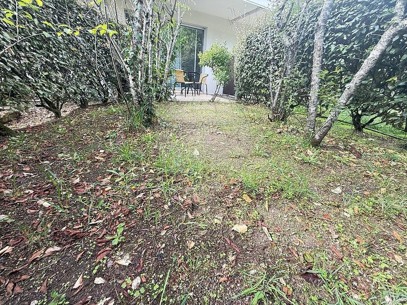 Studio - 31 m² - 1 pièce