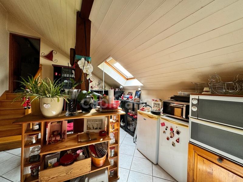 Local artisanal - 223 m² - 4 pièces