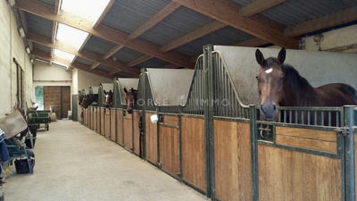 Maison de domaine équestre - 80 m² - 3 pièces