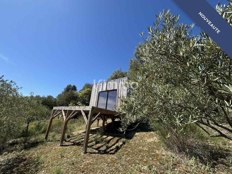 Terrain - 13 051 m²