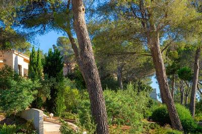 Appartement - 25 m² - 2 pièces