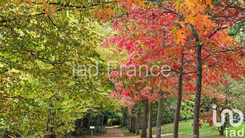 Appartement - 78 m² - 3 pièces