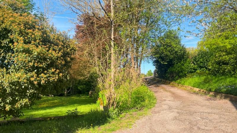 Maison bourgeoise - 230 m² - 9 pièces