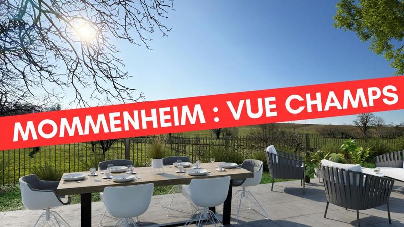 Appartement - 81 m² - 4 pièces