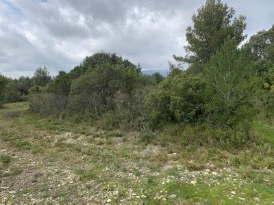 Terrain - 5 162 m²