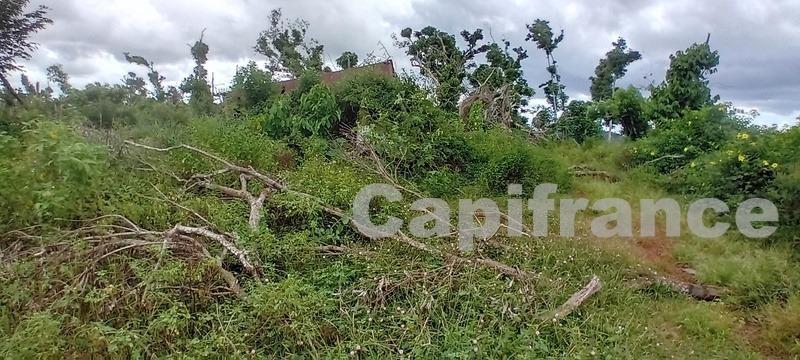 Terrain agricole - 167 518 m²