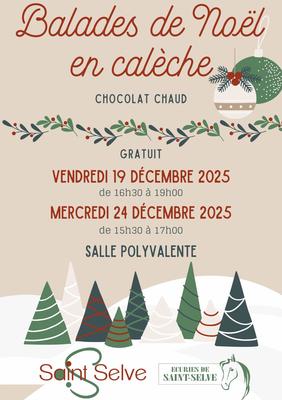 Balades de Noël en calèche