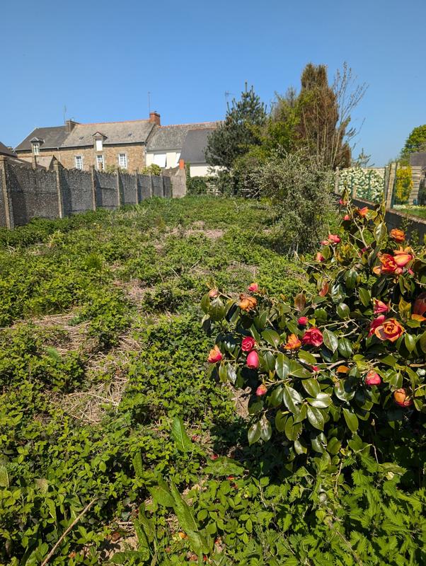 Maison - 64 m² - 3 pièces