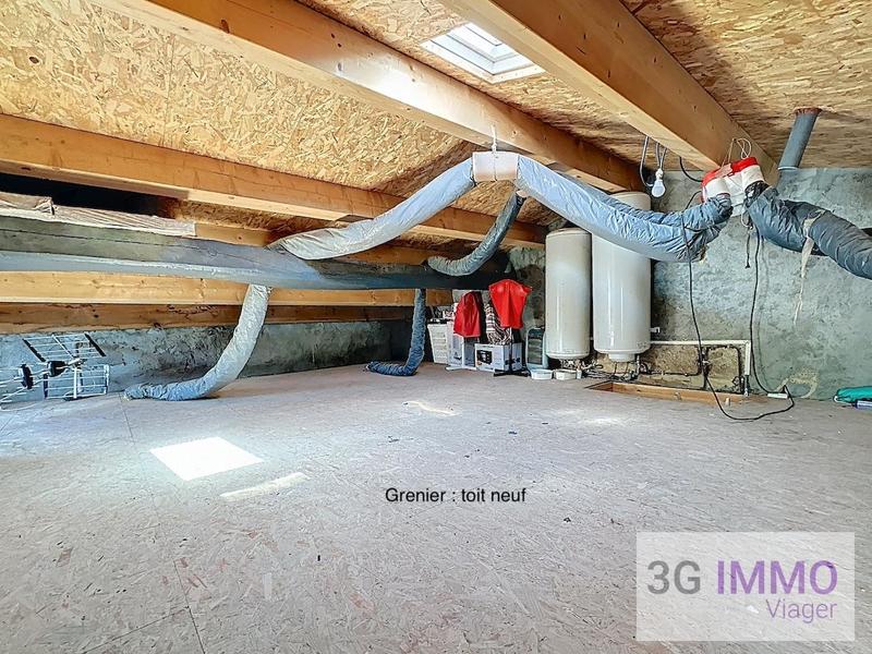 Viager - Immeuble - 126 m²