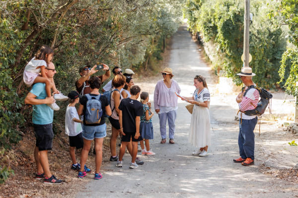 La Treille, village raconté de Provence