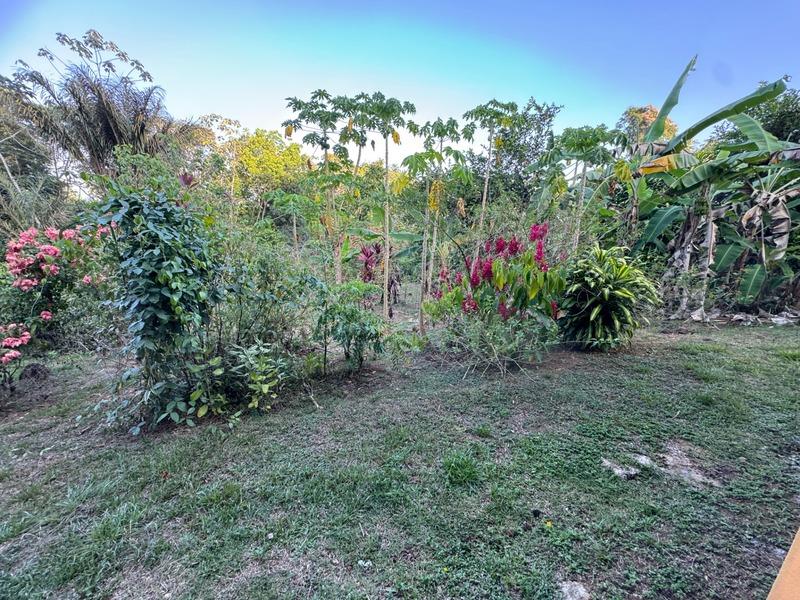 Maison - 167 m² - 3 pièces