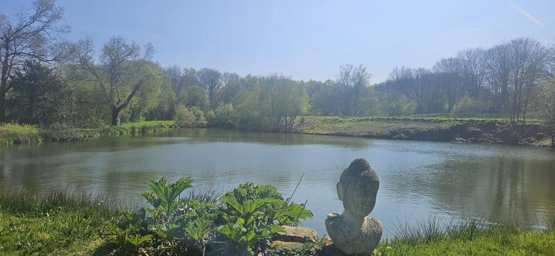 Maison - 147 m² - 5 pièces