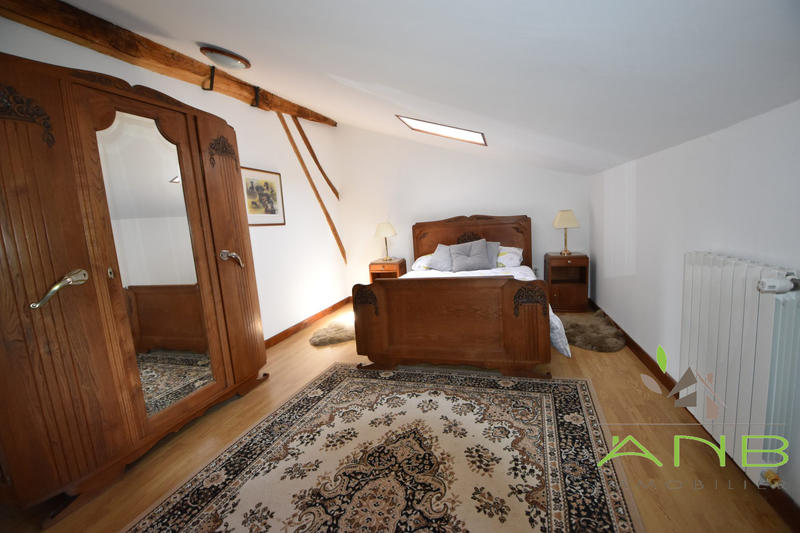 Maison ancienne - 300 m² - 10 pièces