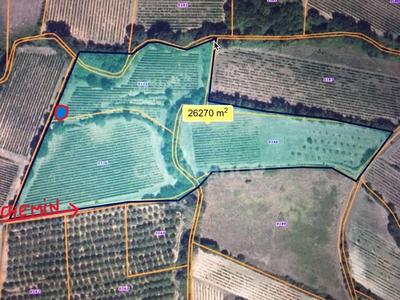 Terrain agricole - 24 630 m²