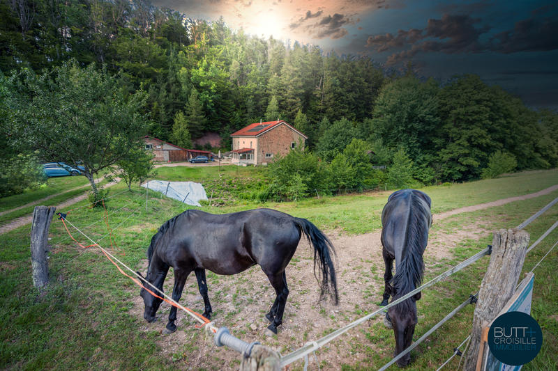 Ferme - 240 m² - 9 pièces