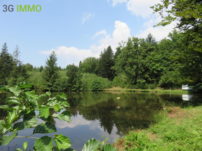 Terrain de loisirs - 4 560 m²