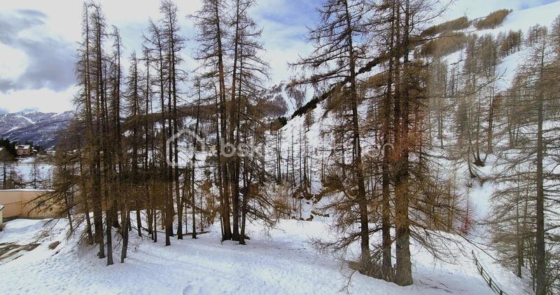 Studio - 24 m² - 1 pièce