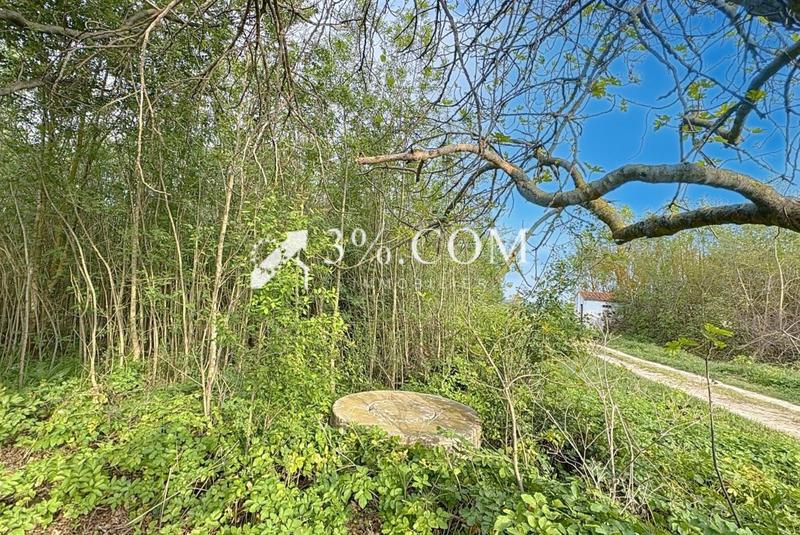 Terrain de loisirs - 4 558 m²