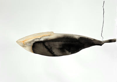 Sorti de la Nuit - Patricia Erbelding