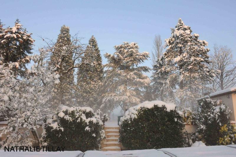 Propriété - 250 m² - 8 pièces