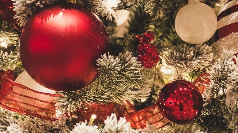 Sapin de Noël Partagé