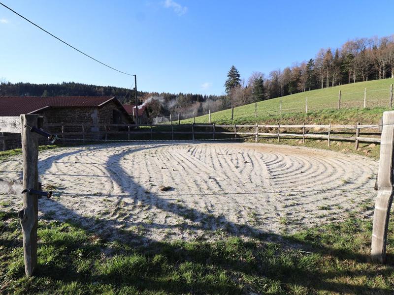 Corps de ferme - 350 m² - 6 pièces