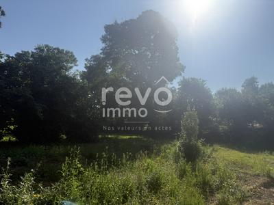 Terrain constructible - 1 134 m²