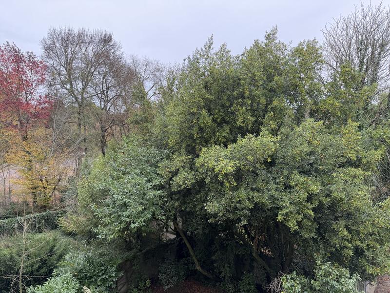 Appartement - 84 m² - 3 pièces