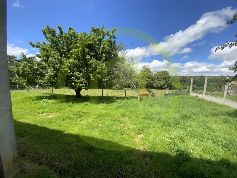 Bureau - 100 m² - 3 pièces