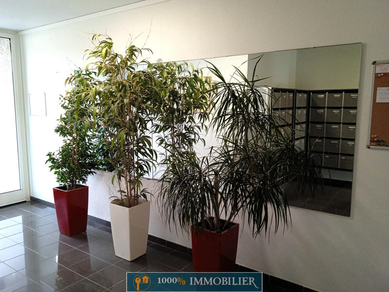 Appartement - 52 m² - 3 pièces